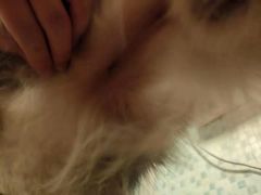 -PETKIT小佩宠物(古北店)
