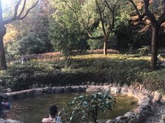 -山湖温泉