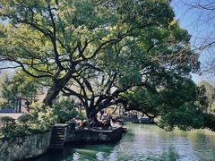 -西溪国家湿地公园