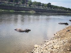 -杭州双溪漂流景区