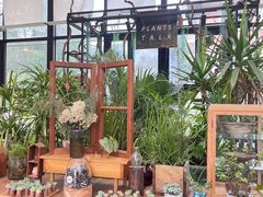 -北马山庄植趣咖啡