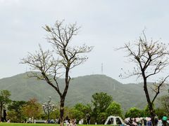 -白石龙音乐公园