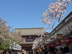 -浅草寺