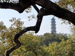 -江心屿景区