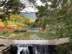 -广州市石门国家森林公园