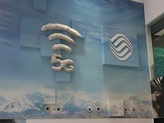 -中国移动通信集团上海有限公司