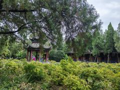 -洛阳白马寺