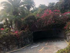 -广州科尔海悦酒店