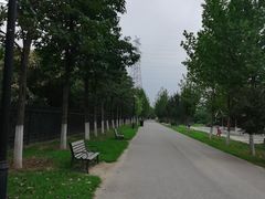 -永定河休闲森林公园