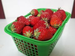 -顺鑫石门市场
