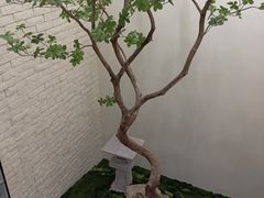 -五峰书院(南洋泾路店)