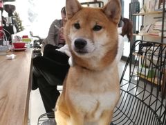 -NOTBAD 须时·咖啡馆