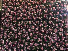 -泉乐坊步行街(烟酒特产平价超市店)