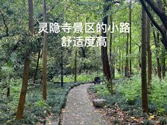 -灵隐飞来峰景区