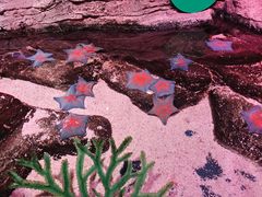 -沈阳海洋探索中心