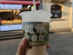 -猫的魔法密林(衣裳街店)