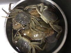 -京贸物联批发市场