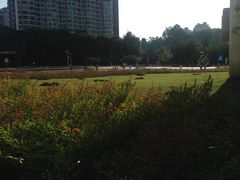 -绵阳人民公园(涪城区)