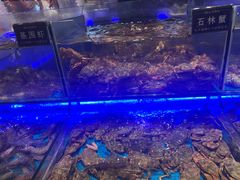 -SEA西雅图海鲜自助餐厅(海乐世界店)