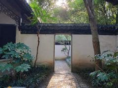 -秋霞圃