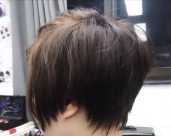 -镁连社·美联社