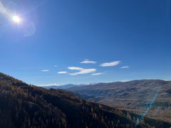 -煲来饱去冷水鱼