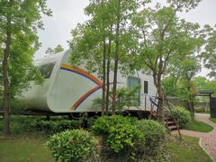 -上海海湾国家森林公园