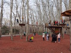 -朝阳公园游乐园
