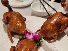 -光明招待所(邦凯科技园店)