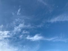 -飞来湖湿地公园