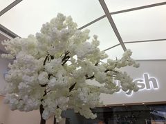 -艾薯夫妇Aysh(福田星河COCOPark店)
