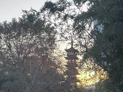-汇龙潭