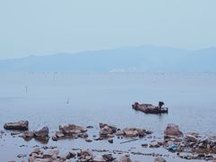 -北岐滩涂
