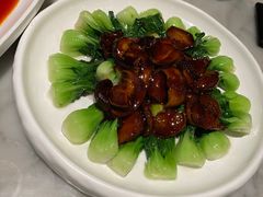 -蝶园·装修中(BFC外滩金融中心店)