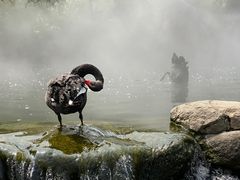 -罗红摄影艺术馆