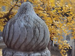 -大觉寺-停车场