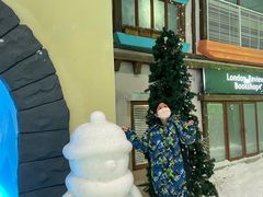 -世界之窗阿尔卑斯冰雪世界