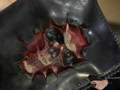 -秃鹫湾·推理大师沉浸式实景演绎推理剧场