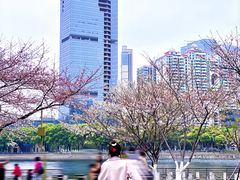 -西北湖绿化广场