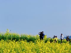 -光明小镇欢乐田园