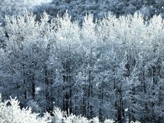 -太子岭滑雪场