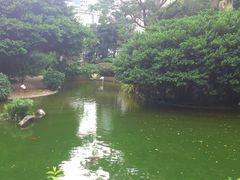 -九龙公园