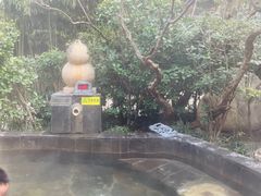 -西安国际创新人才交流中心•药浴温泉