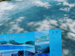 -广东惠东海龟国家级自然保护区