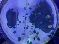 -暹罗海洋世界