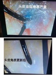 -木北造型