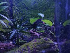 -上海海洋水族馆