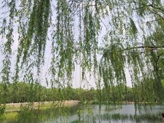 -池田寿司·新鲜现做(昌平悦荟店)