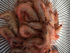 -77号渔船·蒸海鲜青岛菜(积米崖店)