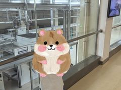 -歌斐颂巧克力小镇